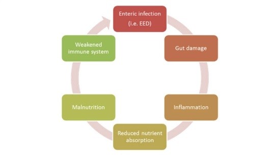 Enteric_Dysfunction.jpg