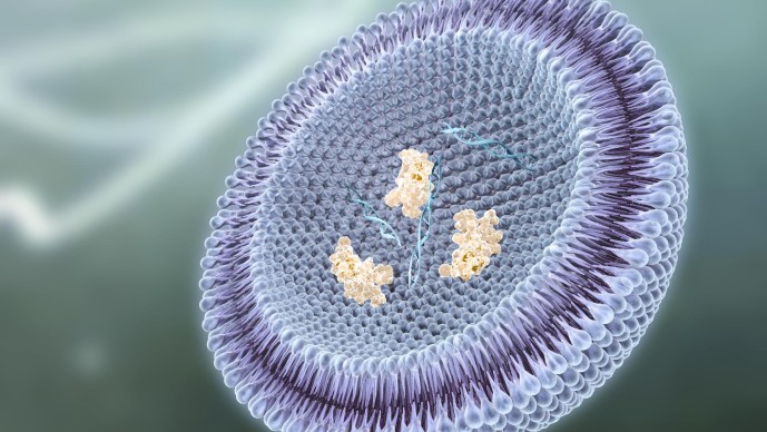 The Poliovirus Endgame: Create Innovative Ways to Accelerate, Sustain, and Monitor Eradication (Round 7)