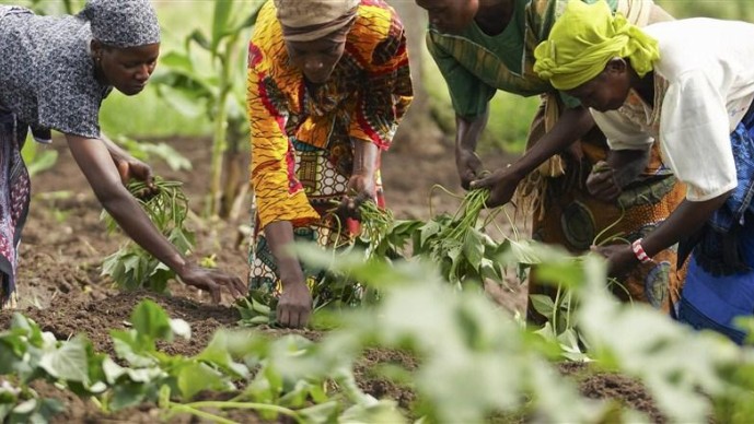 Innovation_For_Farmers___.jpg