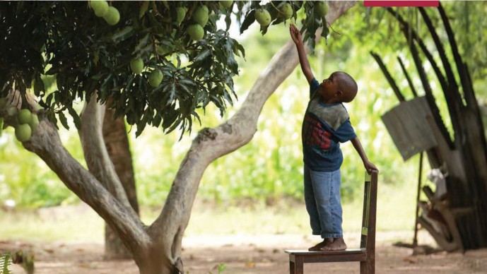 Boy Picking Fruit