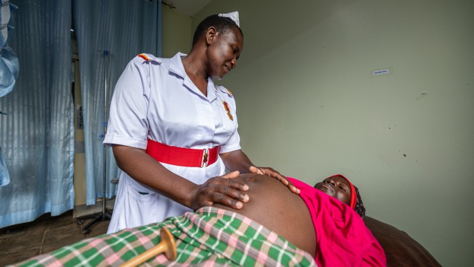 Reducing the Burden of Preeclampsia RFP