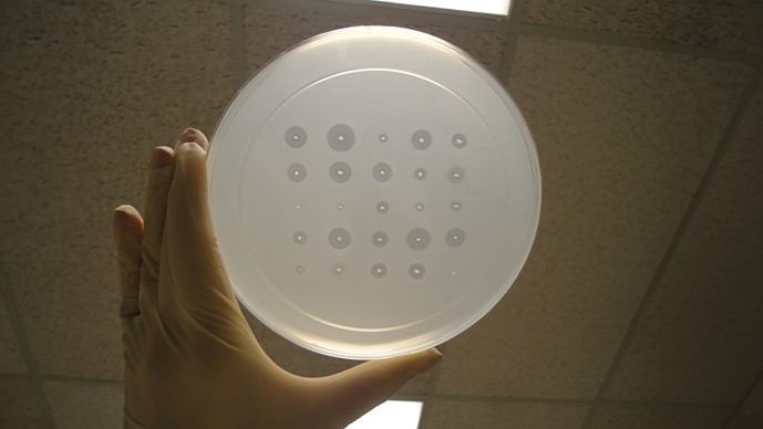 Apply Synthetic Biology to Global Health Challenges (Round 8)