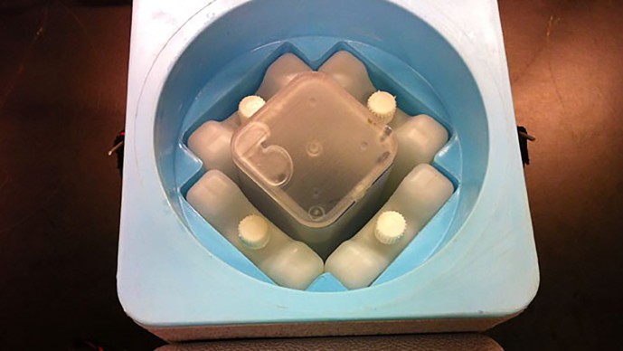 Design New Approaches to Optimize Immunization Systems (Round 9)