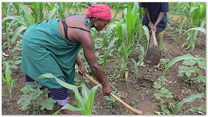 Grand Challenges Explorations Round 10 Grants Awarded