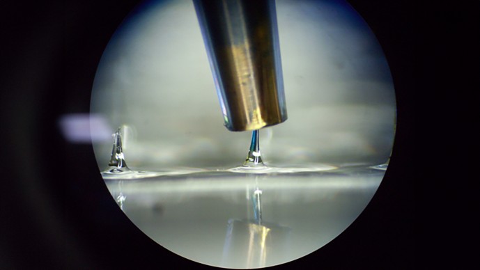 Create New Vaccines for Diarrhea, HIV, Malaria, Pneumonia, and Tuberculosis (Round 3)