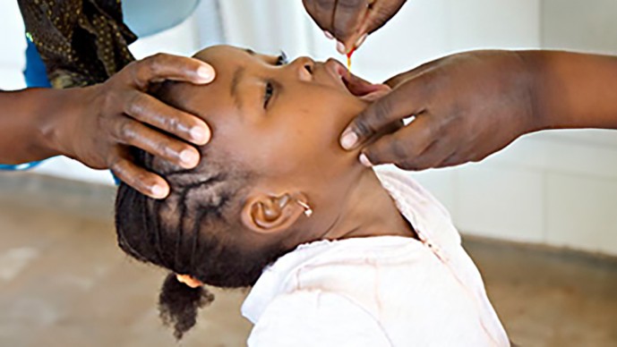 Devise Reliable Tests in Model Systems to Evaluate Live Attenuated Vaccines