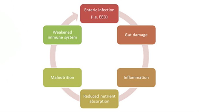 Enteric_Dysfunction_1.jpg