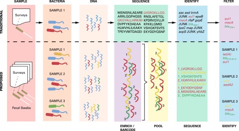 Drug Resistance Burden