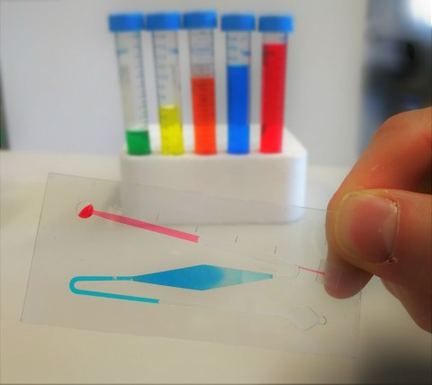 Diagnostics Systems Diagnostics Systems