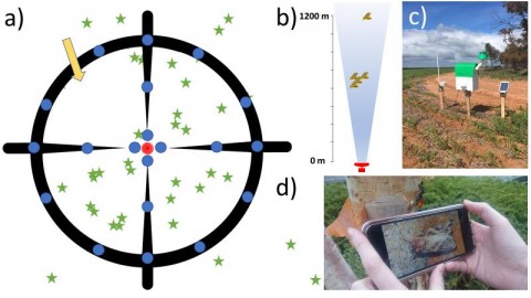 Crop Disease Surveillance