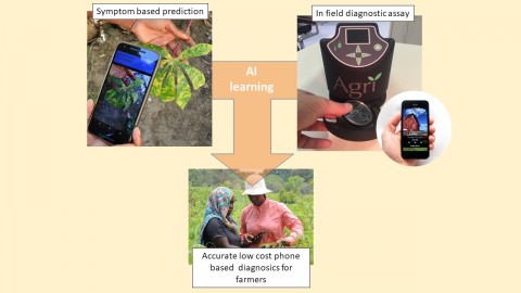 Crop Disease Surveillance Crop Disease Surveillance