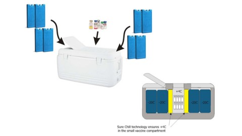 Optimizing Immunization Systems: Preventing Temperature Fluctuations that Destroy Vaccines