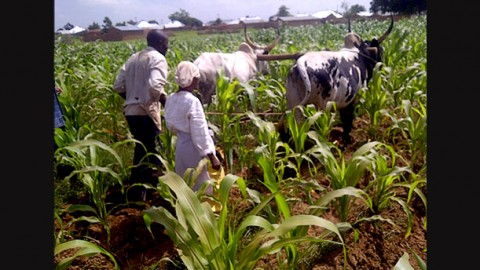 Innovations for Women Farmers: Moma's Farm