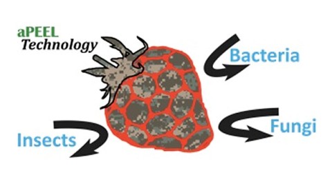 Protecting Crop Plants: A Molecular Camouflage