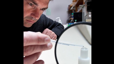 New Approaches to Neglected Tropical Diseases: Testing a Cell Phone Tool to Monitor Soil-Transmitted Parasitic Worms New Approaches to Neglected Tropical Diseases: Testing a Cell Phone Tool to Monitor Soil-Transmitted Parasitic Worms