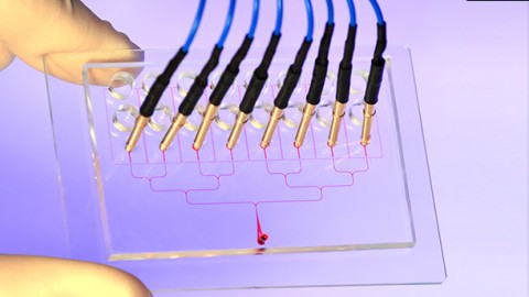 New Approaches to Neglected Tropical Diseases: Capturing Electrical Signals in Parasitic Worms for Drug Discovery