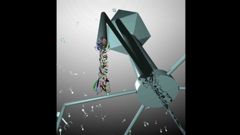 Synthetic Biology: Engineering Viruses to Target Bacterial Pathogens