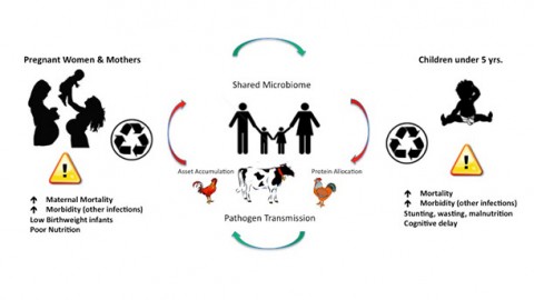 The "One Health" Concept: A One House-One Health Approach to Child Growth and Development